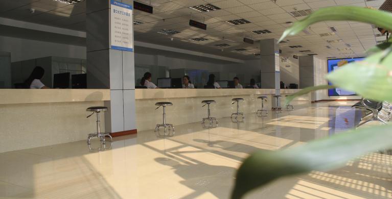 我想开家网络科技公司,如何申请营业执照!