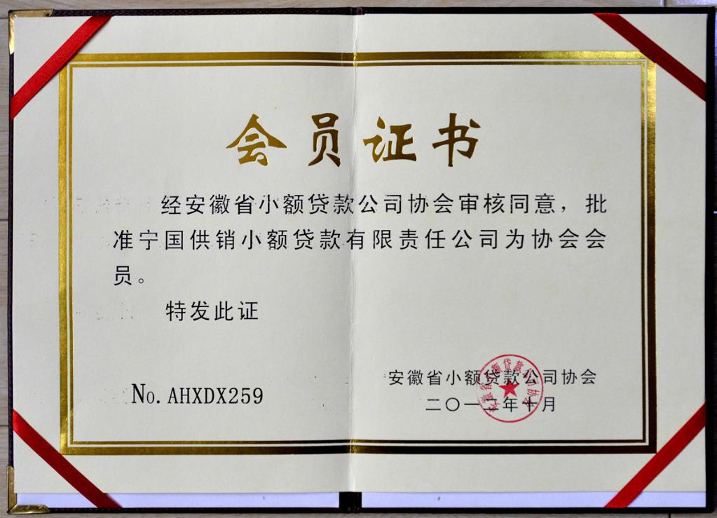 好几家小额贷款公司审批都没通过是怎么回事-