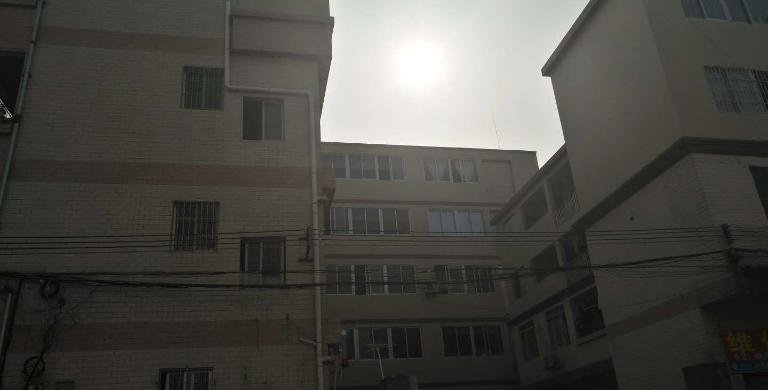 Photo-little